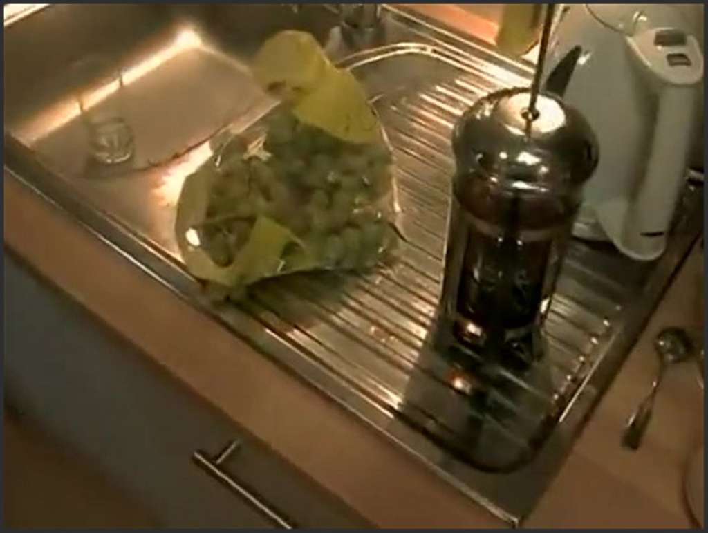 Leonie Saint hat ein Mädchen in einer Rosette gefickt